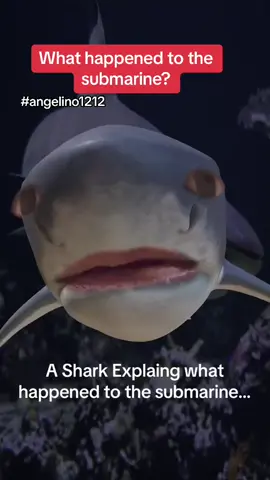 Shark #shark #viral #angelino1212 #fy #fypシ #trending #trend #viralvideo #viraltiktok #funnyvideos #funny #lol #laughing 