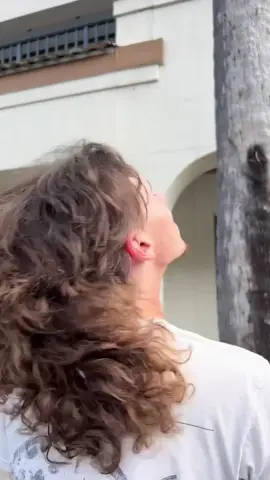 The mullet is a way of life  #mullet #80s #haircut 