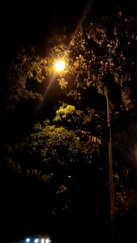 #foryou#foryoupage#fyp#sadvibes#mentahanvidio#vibesmalamhari#sadvibesonly 