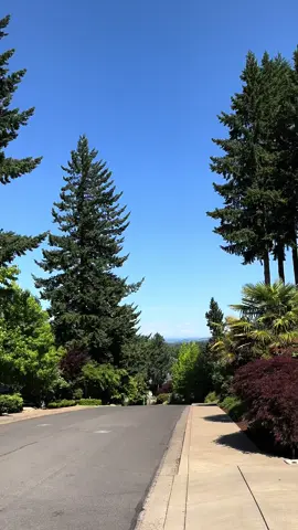 Peaceful neighbourhood in Oregon 🌲  #oregon #usa #Summer #aesthetic #nature 