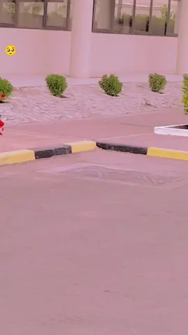 #🦁🇵🇰🇦🇪🇦🇪🇦🇪🇦🇪🇦🇪🇦🇪🇦🇪🇦🇪❤️💖🤟🤟🤘🤘🤘🤘 💔❤️❤️