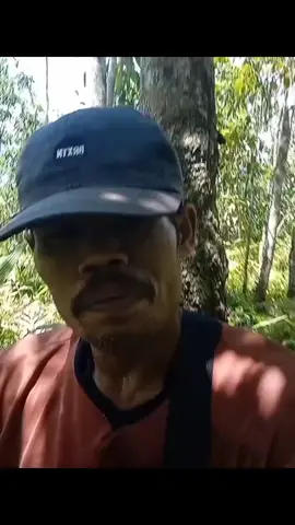 Teu kuat lapar... #viral #masukberandafyp #fyp #lucu #ngakak #viralvideos #funnyvideos #foryou #fypage 