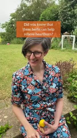 Did you know that these herbs can help relieve heartburn? ❤️‍🔥 AND even better, they can be found in our HotTea Mama herbal tea blends! If you’re suffering with heartburn or any digestive issues, keep reading… 1. Lemon and ginger - an age old classic herbal combination that can often be found by the bedside to provide comfort and warmth when it’s most needed. Lemon is antispasmodic, helping to soothe inflammation, while ginger root soothes gastrointestinal irritation and relaxes gastric contractions. Find it in our Morning Rescue tea! 🍋 2. Chamomile is commonly used to relieve symptoms of acid reflux, due to its anti-inflammatory properties. This powerful herb can help to reduce any digestive symptoms, and it’s also known for reducing stress and anxiety which can contribute to stomach issues. Chamomile features in both our Over The Moon and Night Owl tea blends 🙌 3. Peppermint - an antispasmodic that can help aid digestion, as well as relieving cramps and bloating by helping the muscles of the bowel wall to relax. Our Final Push raspberry leaf tea also contains peppermint, so as long as you’re not in the early stages of pregnancy (raspberry leaf shouldn’t be consumed by pregnant women before 32 weeks) you can drink it! 🌿 #hotteamama #heartburn #stomachissues #stomachcramps #chamomile #peppermint #lemon #ginger #herbalremedies #herbaltea #herbalteas #herbalremedy #reels #igreels #instareel #acidreflux 