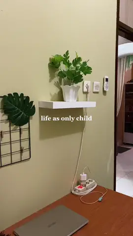 in fact, life as an only child isn’t easy as people expectaition