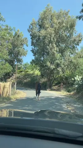 #nacima #lunchboxkabyle #tiktokdz🇩🇿 #tiktokkabyles #algerienne🇩🇿❤️___france🇫🇷 #kabylienne 