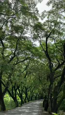 Sometimes the best therapy is a long drive and the right song. 📍Abra De Ilog to San Jose Occidental Mindoro. #Mindoroloop2023 #PHrider #OccidentalMindoro #SummerRide #foryou #foryoupage 