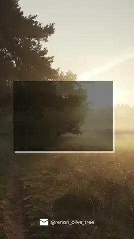 #oracao #palavradedeus #avivamento #evangelico 