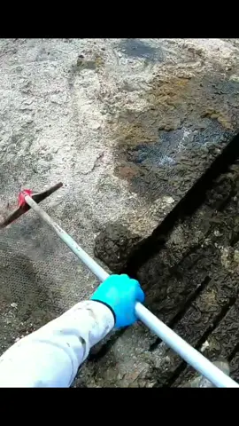 Hygienic Haven: Cow Farm Waste Cleanup