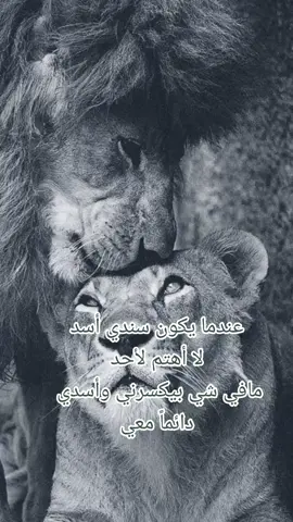 #مابخاف_من_حدا_وانا_عندي_أسد_دائما_بضهري #عيونك_جمالا_قاتولي #عملي_شو_بدك_فداكي_لا_تخافي_اسدك_وراكي☝ #تصميمي #اكسبلورexplore #تركيا🇹🇷اسطنبول #عيد_الأضحى #tiktok #2023 #منوعات 