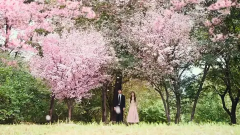the cinematography of #seeyouinmy19thlife is so stunning  ib: @jntxz  #kdrama #koreandrama #kdramalover #kdramaedit #fyp #AhnBoHyun #ShinHyeSun 