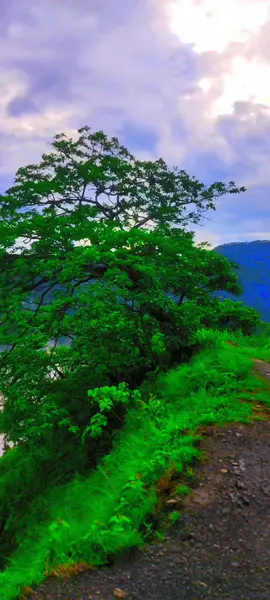 bujeu maya#😜😜😂😂😂😂😁😁😁🙈🙈🙈 #tiktoknepal🇳🇵_foryoupage #fypシ゚viral #tending22 