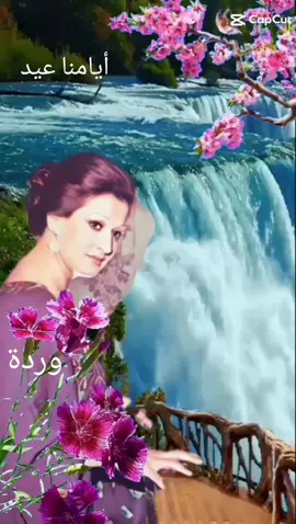 #وردة_الجزائرية #ايامناعيد #اكسبلور #مصر #السعودية #تونس #الجزائر #المغرب #لبنان #الزمن_الجميل #pourtoi #france #viral #fypシ @Samo @Samo 