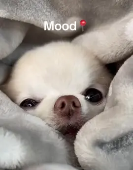 #SAMA28 #tiktoksouthafrica🇿🇦 #fyp #coldweather 