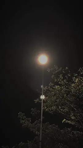 #CapCut Tolong Ramein Dong🙏 #fyp #mentahan #trending #lyrics #viral #fypシ #foryou #liriklagu #foryoupage #songlyricsedit #galaubrutal 