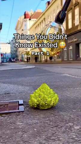Things You Didn't Know Existed 😳 #fyp #xyzbca #viral #fypシ #foryoupage #incredible #interesting