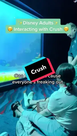 Probably one of my most favorite interactions on turtle talk with crush at Disney California Adventure #onthisday #disneyfyp #disneycaliforniaadventure #disneylandresort #turtletalkwithcrush #pixar #findingnemo #fypシ 