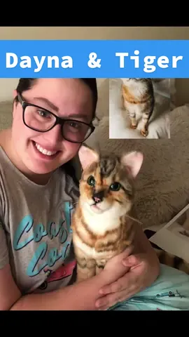 14 years of memories together 💙🐾 #petsies #catsoftiktok #cat #customstuffedanimal #catloss #catmom #catmemorial #petmemorial #missyou #stuffedanimals #customgifts #unboxing 