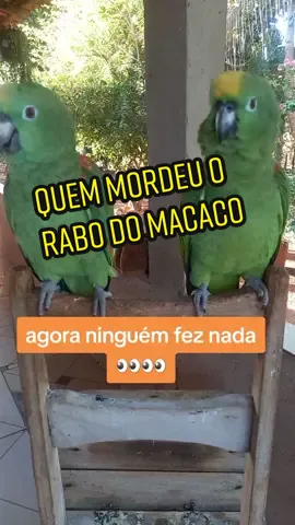 #trabalhecomartistas 
