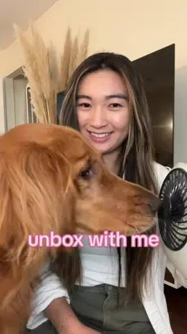 ignore my neighbors because they all have kids that like to play after school. LOL heres my amazon haul! most of my stuff is to prep for katsu going to tahoe. i want to make sure she has a place to lay down while we are climbing and that i can track her if she wanders around! #haul #unboxing #unboxwithme #amazonhaul #doghaul 