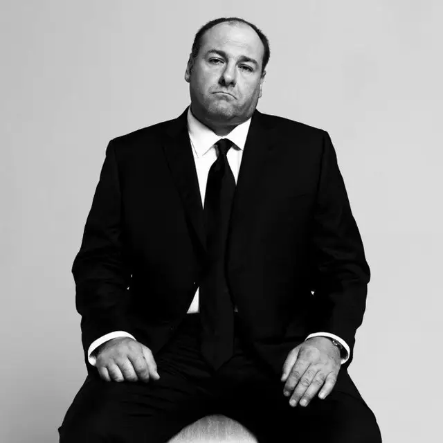 #tonysoprano #jamesgandolfini #rip #sopranos 