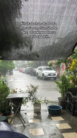Size 2x3m or 6.8ftx9ft yung binili ko na Sun Shade Net. Mag 4months na tong samin, init at ulan pero matibay parin. Nasa Yellow basket to order.  #sunshadenet  #shadenet  #gradenproject #shadenetgreenhouse  #sunshadenetoutdoor  #net  #tiktokfinds  #budolfinds #outdoornet  #trending #gukotoshop 