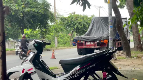 #siriusđộkiểng #siruskiểng #sirius83 #sirius #xuhuongtiktok #83soctrang #siriusdokieng #thưởngalee💎 #xuhuong 