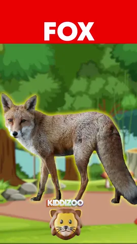 GUESS THE FOREST ANIMAL BY ITS SHADOW GAME FOR KIDS! #FOREST #ANIMAL #GAME #FYP #fypシ #fypシ゚viral #KIDS