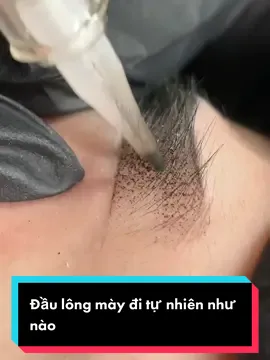 Lâu rồi Hà không đăng video về lông mày, hôm nay bù lại cho mọi người một chút chia sẻ về cách tản đầu lông mày cho tự nhiên đây ạ.#FoodFestOnTikTok #hathuphunxam #hathu7times #lamdep #phunxam #viral #reviewlamdep #trending 