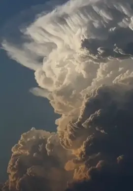 #frasesreflexivas #testigodejehova🕴️🛐 