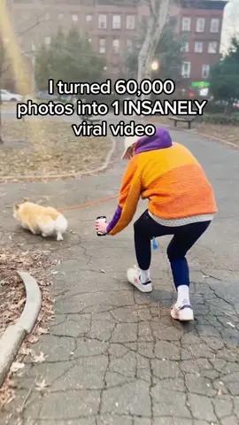 THE VIDEO YOU’VE BEEN WAITING FOR: How we made the viral butt montage on my @DellTech Dell OptiPlex 7400 All-in-Onepowered by @IntelBusiness #IntelvPro.  Perfect for a multitasker doing long edits! Dell’s Black Friday in July sale is live now with up to 50% off select systems. #DellForBiz #SmallBiz #Ad  #dogsoftiktok #corgi #tutorial #videoediting 