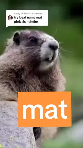 Replying to @ilazakri ok mat pulak #cute #viral #tupaipanggilnama 