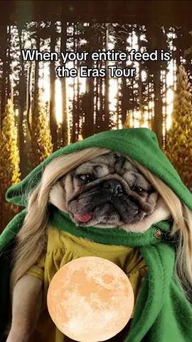 Swifties will understand! Petition for Doug to be a dancer on the #erastour 🍂 @Taylor Swift @Taylor Nation #taylorswift #erastour #swiftie #willow 