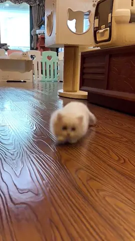☺️