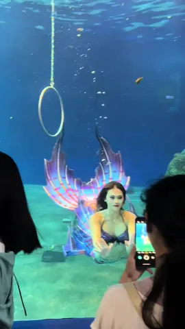 暑假要來了，該出門看人魚了 #美人魚 #mermaid #fyp 