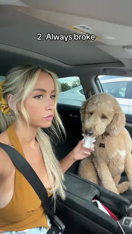 Part 1 || Happily choosing this life #dogs #dogtok #foryou #doglife @Bloom Nutrition #bloompartner  