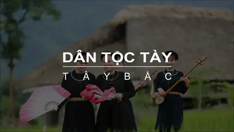 Hiểu nhanh về nét đẹp văn hóa của đồng bào Dân tộc Tày ở Tây Bắc #vanhoataybac  #taybac #taybacvietnam #dantoctay #batrungtaybac