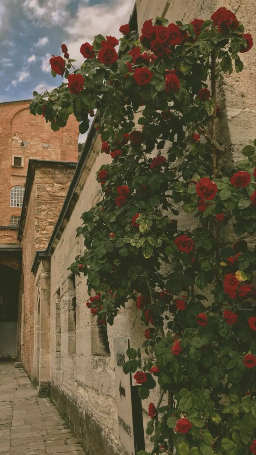 عَباراتڪم التگزگز🫶🏻🤍🤍🤍،(شُڪراً هُوايةة دَادَة عَ التَفاعل آحبڪم💙).  #أشعار  #عباراتكم  #اشعار_عراقية  #fypシ  #CapCut  #fypシ゚viral  #virall #fyp 