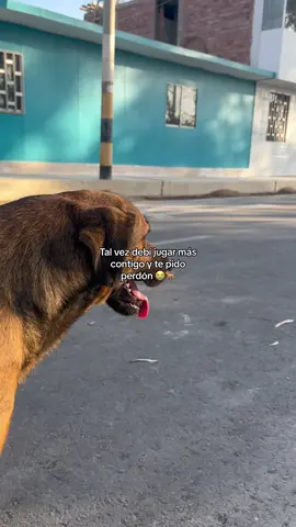 #CHESTER😭❤️🐕#viral #🕊️ #parati #sad 