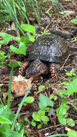 Some of my favorites 