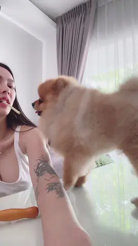 แกล้งเจ้าอ้วน😄