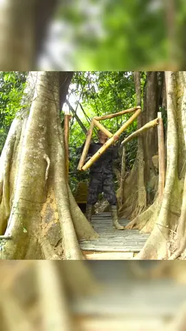 Build Shelter Under a 1000 Year Old Tree - Part 2 #bushcraft  #camp  #camping  #survival  #shelter  #wildlife  #Outdoors  #outdoor  #viral  #fyp  #foryou