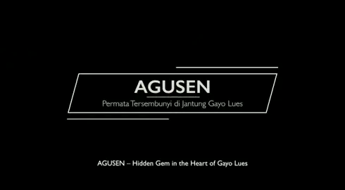 Permata yang tersembunyi di jantung GAYO LUES #AGUSEN#blangkejeren #GAYOLUES #destinasiwisata #wisataaceh 