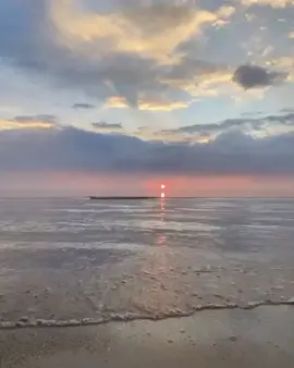 mexico #mexicocruise#mexico#lirik#foryou #spanish #CapCut 