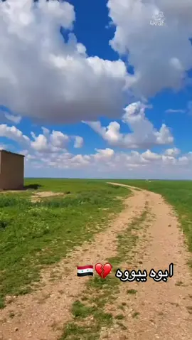 سوريا 🇸🇾🧡🫶#كرم_الشامي_الكويت🇰🇼_سوريا🇸🇾❤️ 