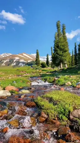 No copywriting, only beautiful scenery #nature #scenery #beautifull #foryou #fyp #cure #f #beauty 