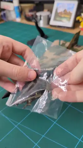 taking a look at this 1:72 scale General Dynamics F-111 
