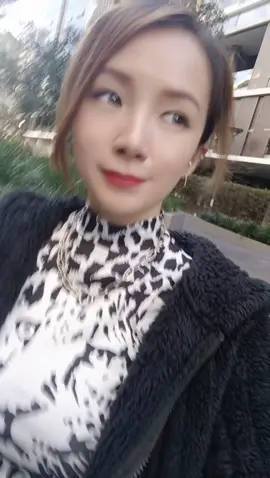 老虎獅子傻傻分不清楚#雪梨 #australia #台灣女孩在澳洲 