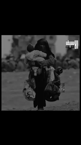 آيات الجِهاد من سورة النساء - تلاوة خاشعة ومؤثرة للشيخ محمد اللحيدان #قران #قران_كريم #قرآن  #قرآن #قرآن #قرآ #قرآن_كريم #قرآن_كريم_راحة_نفسية #محمد_اللحيدان #تصميم_فيديوهات🎶🎤🎬 #تصميمي #ستوريات #مصر #حال #حالات_واتس2021 #حالات_واتس #quranvideo #fyp #shorts #edit #new #foryou #خشوع #راحة_البال_وهدوء_النفس🥀🖤 #راحة_نفسية #قلب #قلبي❤️ #trending #trend 