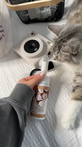 🥥 wb арт.: 162069294