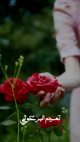 ايا ياسمين التي من حلب  #شعر #الشعر_العربي #ادب #قصيدة #تميم_البرغوثي 